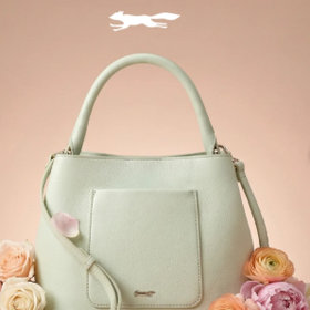 Paul Costelloe