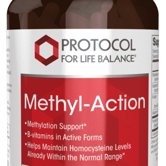 Protocol for Life Balance Reviews