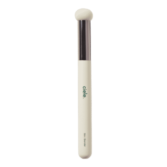 The Sponge Brush