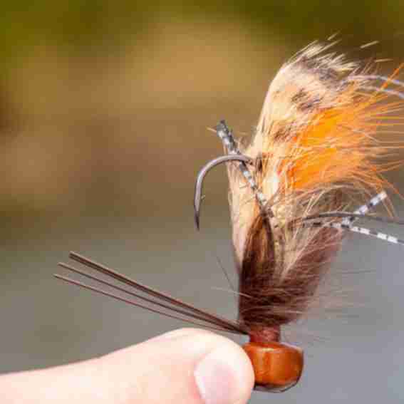 Buggs Fishing Reviews