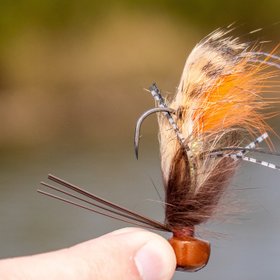 Buggs Fishing