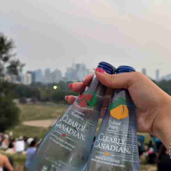 Clearly Canadian Reviews