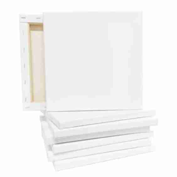 8 Pack 10" x 10" Super Value Canvas