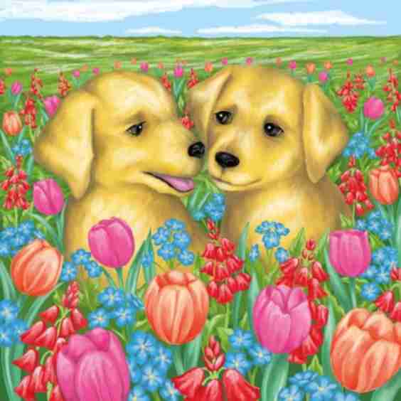 11" x 11" Puppies Canvas Painting Kit