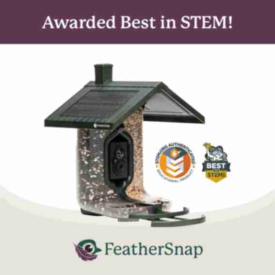 FeatherSnap Reviews