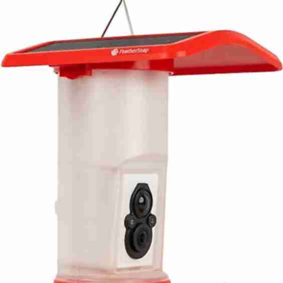 Smart Hummingbird Feeder