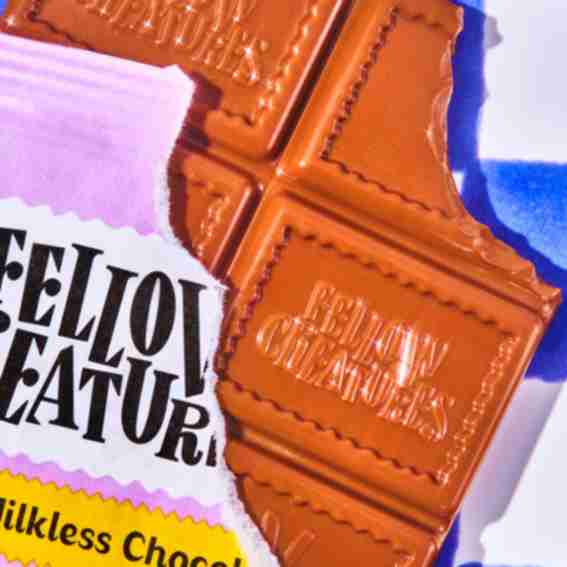 Fellow Creatures Reviews