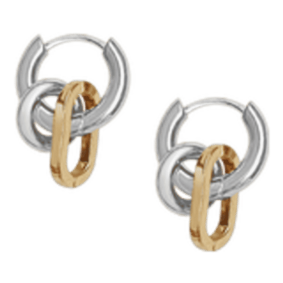 Two Tone Fara Earrings