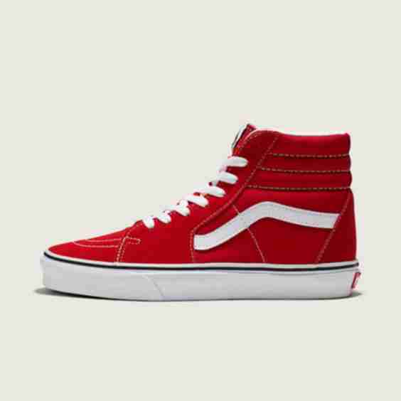 Sk8-Hi Top Sneakers