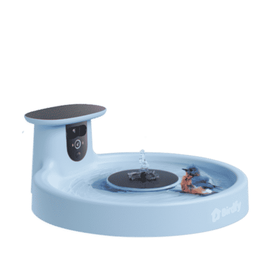 Solar-Powered Smart Birdbath with Fountain