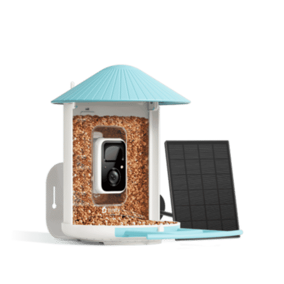 Birdfy Feeder with Solar Panel 
