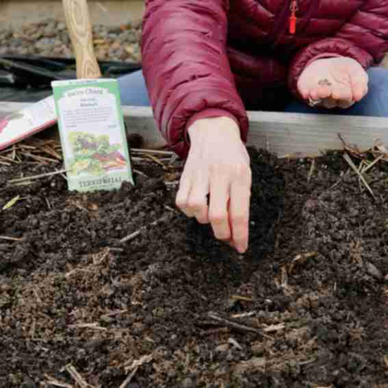 Territorial Seed Company Reviews