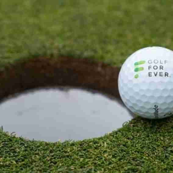 Golf Forever Reviews