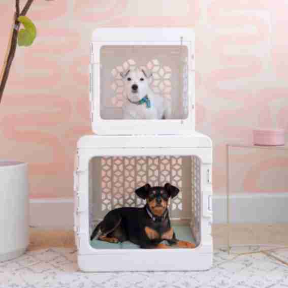 KindTail Reviews