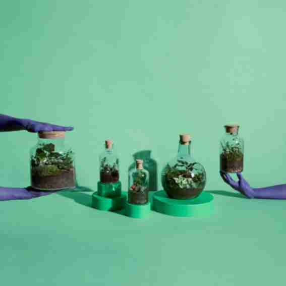 Leafage Reviews