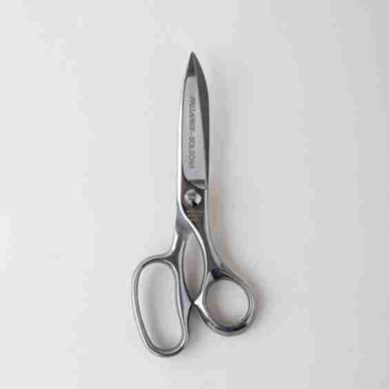 Professional Kitchen Scissors