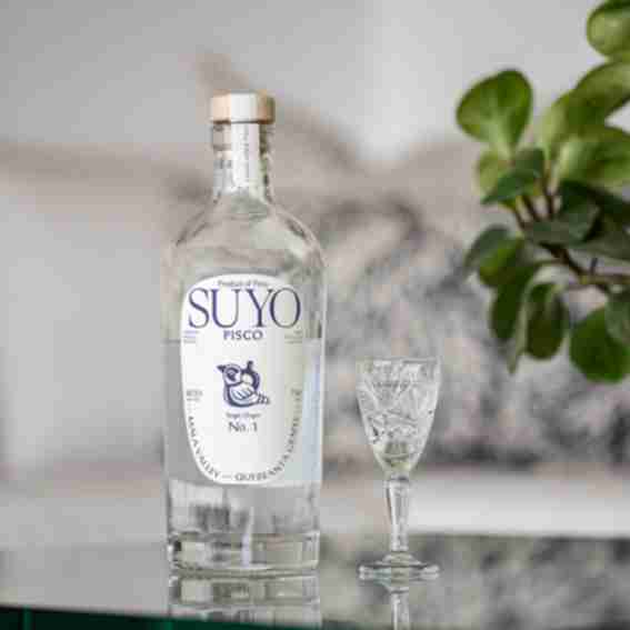 SUYO Pisco Reviews