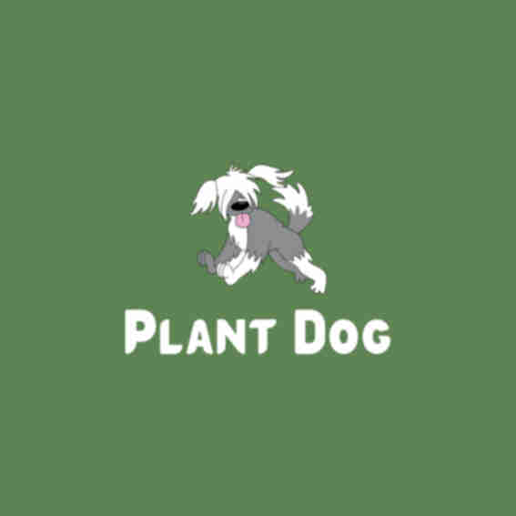 Plant Dog Reviews