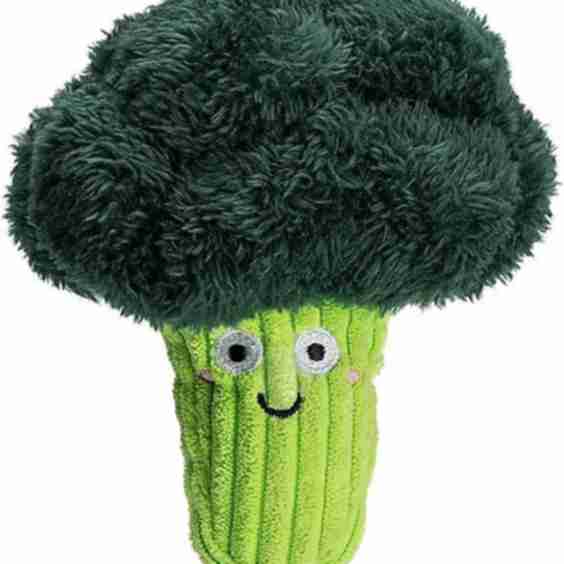 NEW 6" Mini Squeaky Dog Toy Collection
