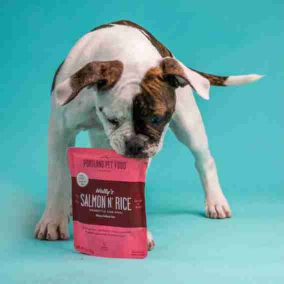 Portland Pet Food Company Reviews