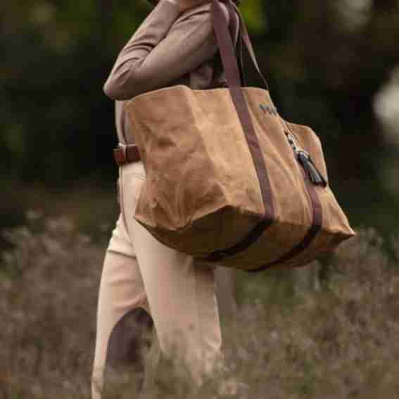 Get the Gallop Reviews