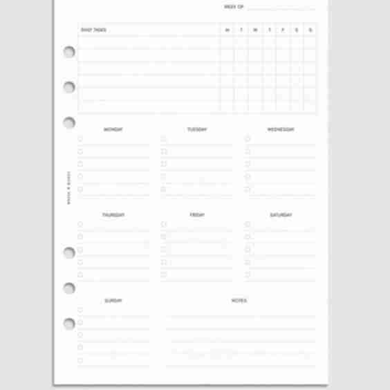 Cleaning Planner Inserts
