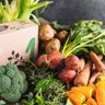 Riverford Organic Farmers