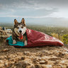 Wilderdog