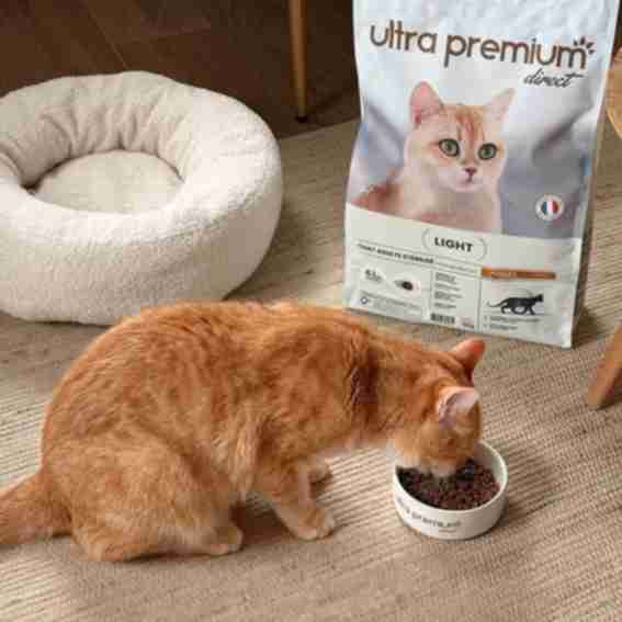 Ultra Premium Direct Reviews