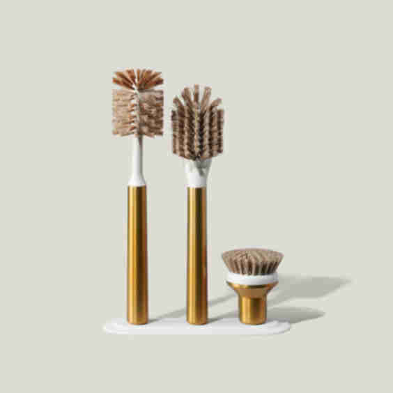 The Ionic Brush Set