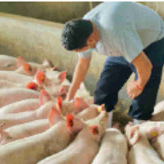 Agroindustrias Gonzalez Reviews
