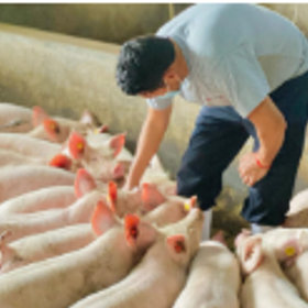 Agroindustrias Gonzalez