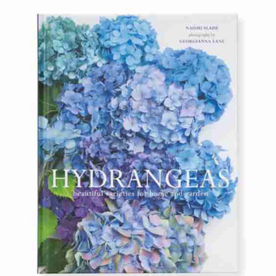 Hydrangeas