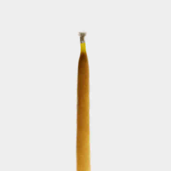 20 Minute Beeswax Candles
