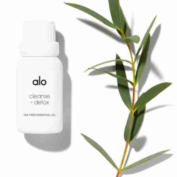 Cleanse & Detox Essential Oil (Tea Tree)