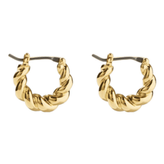 Paris Hoops
