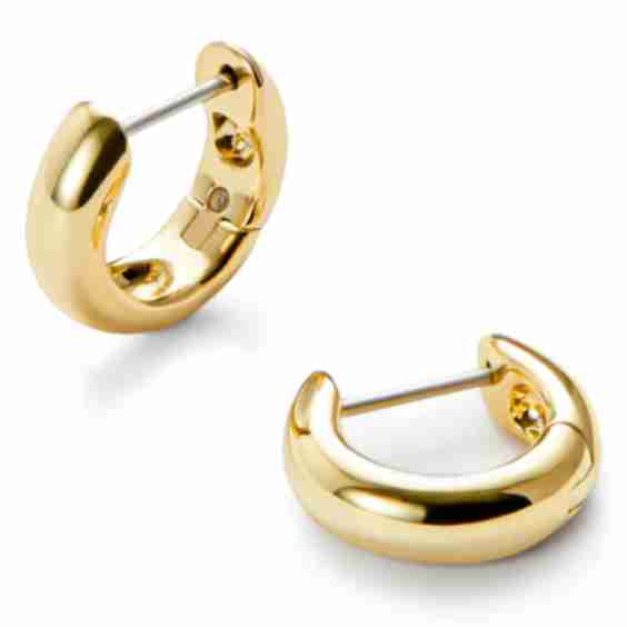 Guilia Medium Hoop Earrings 