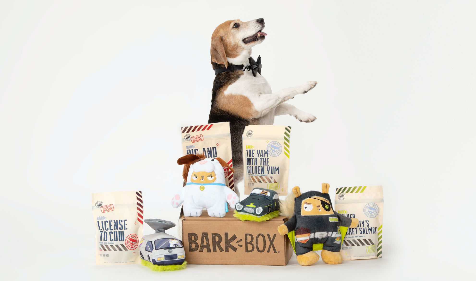 barkbox complaints