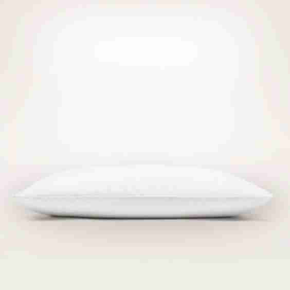 Pillow Insert