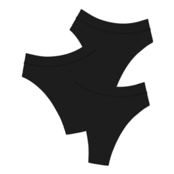 The Highwaist Thong Underwear Pack
