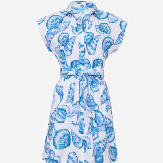Trisha Shirtdress