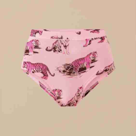 UltraModal FeelFree High Waist Cheeky Underwear