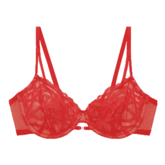 Rose Lace Unlined Demi Bra