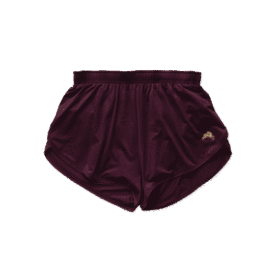 Twilight Split Shorts