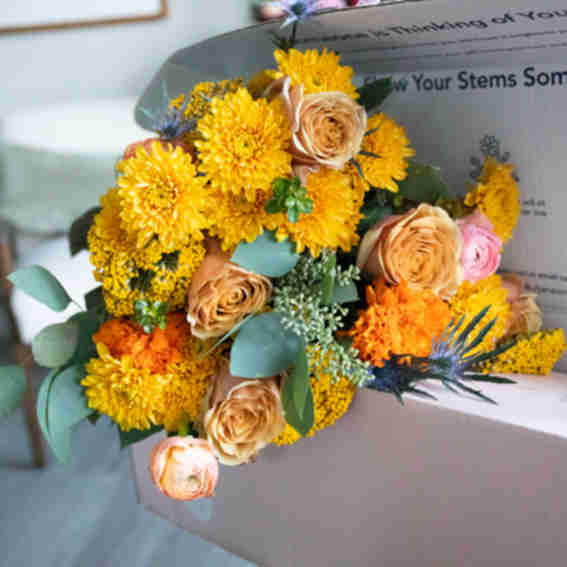 UrbanStems Reviews