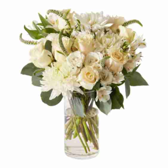 The Dove Bouquet