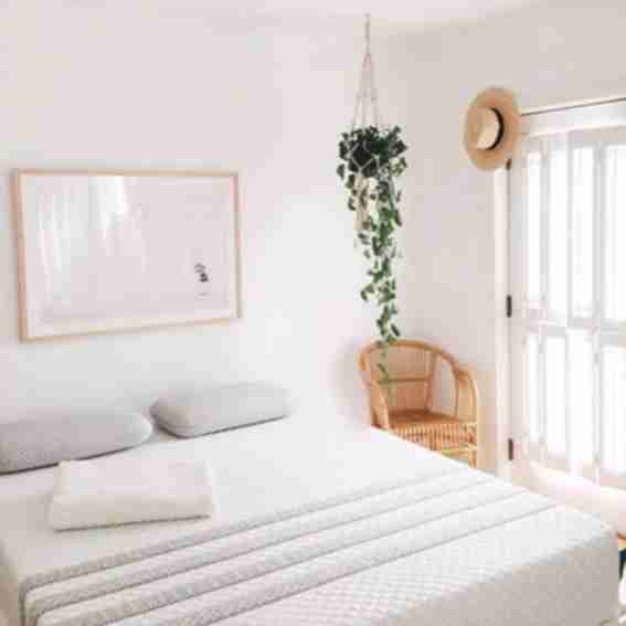 Leesa Sleep Reviews