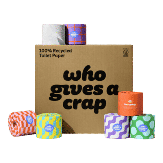 100% Recycled Toilet Paper - 12 Rolls