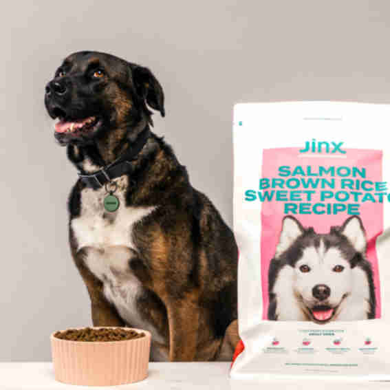 Jinx Reviews