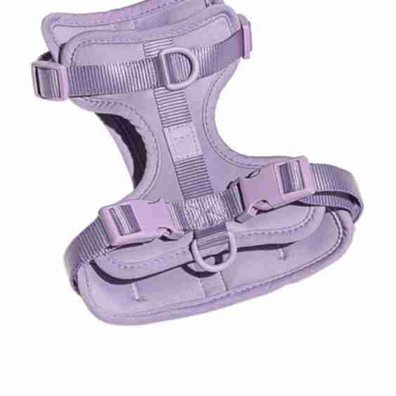 Lightweight Dog Harness